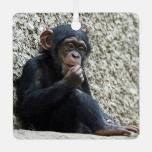 Adorno Metálico Chimpanzee 013
