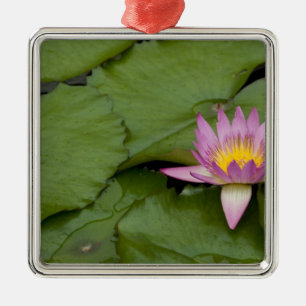 Adorno Metálico China, Hong Kong, Nuevos Territorios. Chi Lin