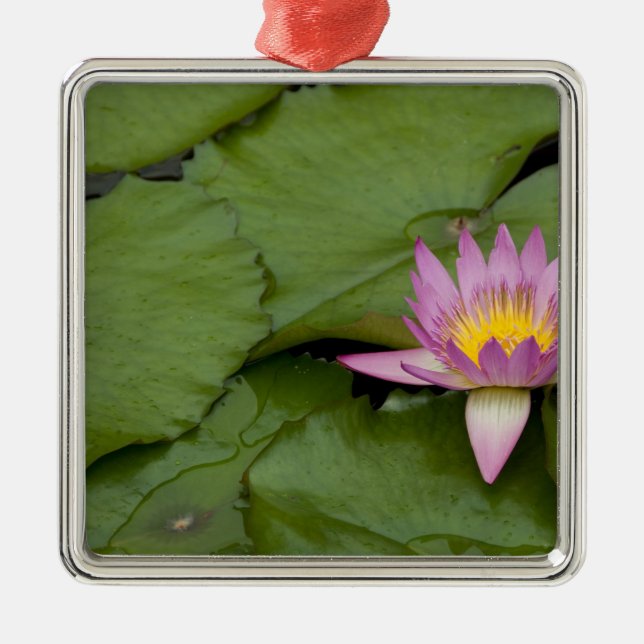 Adorno Metálico China, Hong Kong, Nuevos Territorios. Chi Lin (Frente)