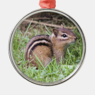 Adorno Metálico Chipmunk del este