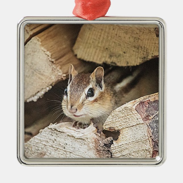 Adorno Metálico Chipmunk en una pila de madera (Frente)