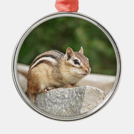 Adorno Metálico Chipmunk en una roca