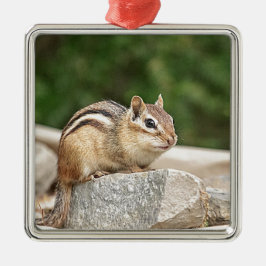 Adorno Metálico Chipmunk en una roca