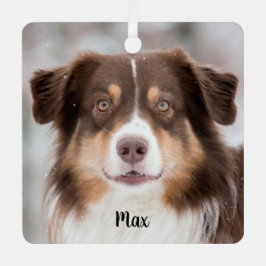 Adorno Metálico Chocolate Pastor Australiano Perro Cachorro