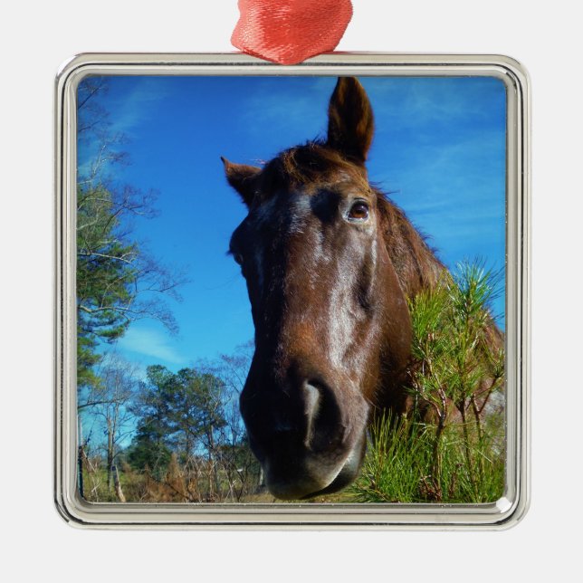 Adorno Metálico Cielo azul de caballo marrón y crema (Frente)