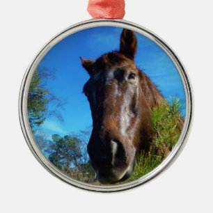 Adorno Metálico Cielo azul de caballo marrón y crema