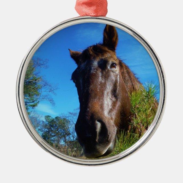 Adorno Metálico Cielo azul de caballo marrón y crema (Frente)