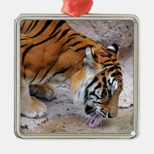 Adorno Metálico Cierra el tigre bebiendo