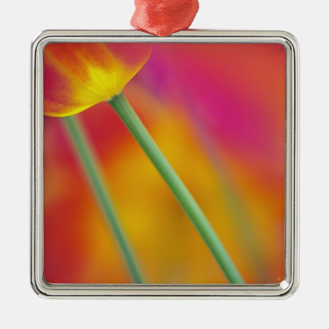 Adorno Metálico Cierre de la flor de los tulipanos, (Frente)