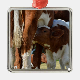 Adorno Metálico Cierre de la succión de ternera