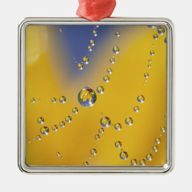 Adorno Metálico Cierre de telaraña con rocío (Frente)