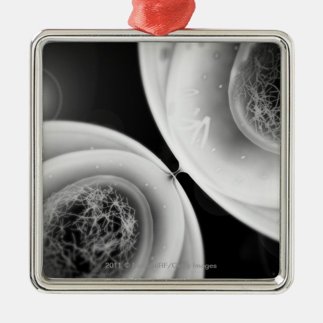 Adorno Metálico Ciérrese encima de mirada en la división celular (Frente)