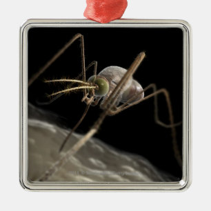 Adorno Metálico Ciérrese encima de morder del mosquito 3d