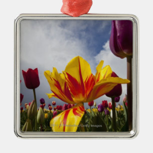 Adorno Metálico Ciérrese para arriba de tulipanes florecientes