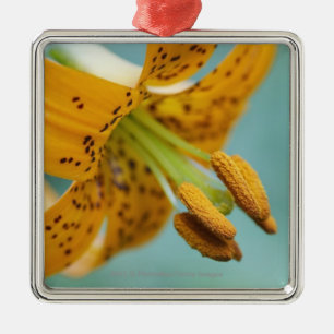 Adorno Metálico Ciérrese para arriba de un lirio amarillo