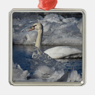 Adorno Metálico Cisne juvenil en río Icey