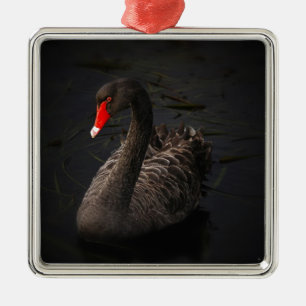 Adorno Metálico Cisne negro