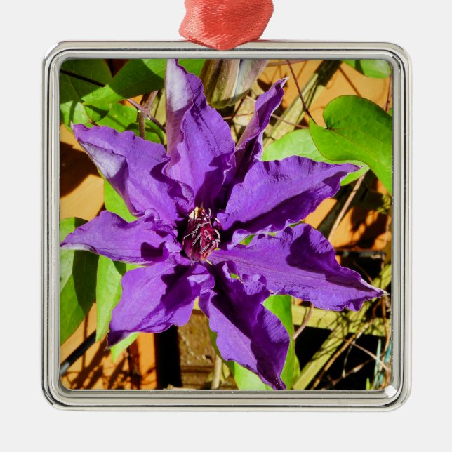 ADORNO METÁLICO CLEMATIS (Frente)