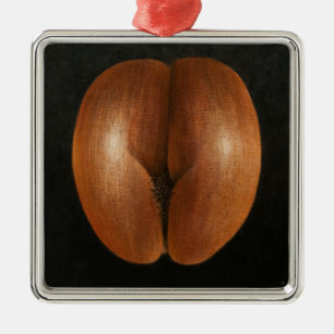 Adorno Metálico Coco de Mer 2010