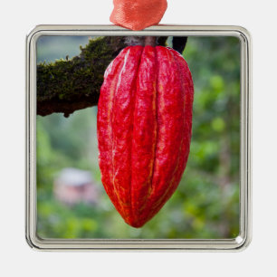 Adorno Metálico cocoa pod red