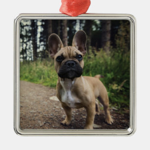 Adorno Metálico Cojín decorativo Bulldog francés
