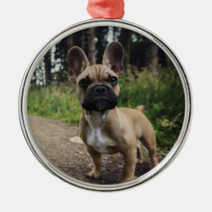 Adorno Metálico Cojín decorativo Bulldog francés