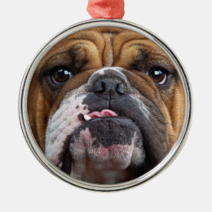 Adorno Metálico Cojín decorativo de Bulldog inglés