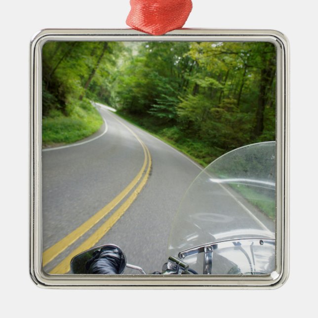 Adorno Metálico Cola del dragón (Frente)