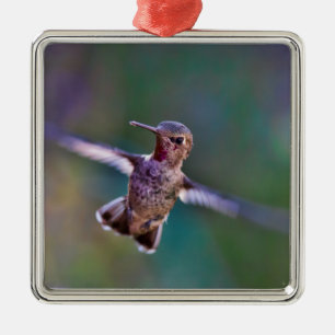 Adorno Metálico Colibrí