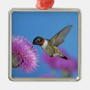 Adorno Metálico Colibrí de garganta rubí