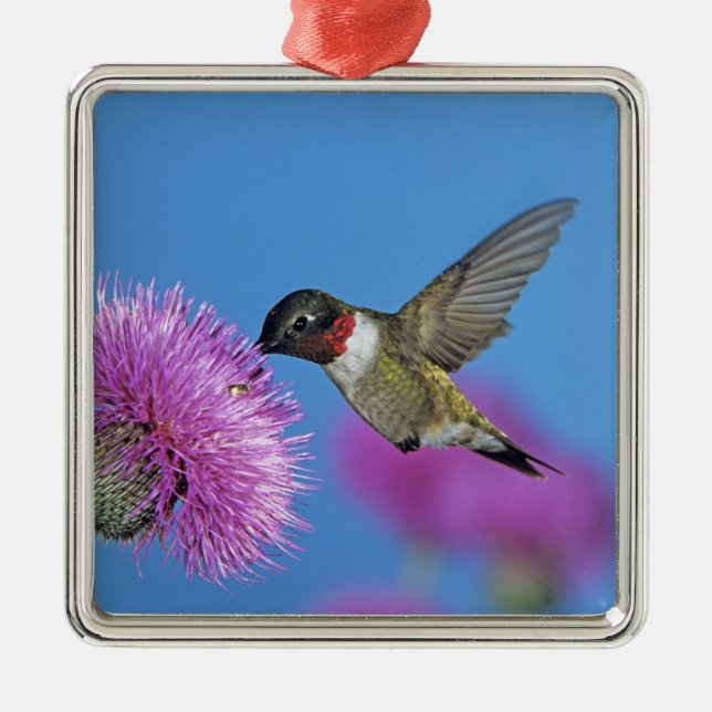 Adorno Metálico Colibrí de garganta rubí (Frente)