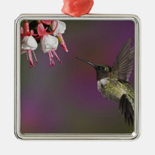 Adorno Metálico Colibrí garganta rubí macho
