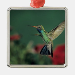 Adorno Metálico Colibrí Picolargo, Cynanthus