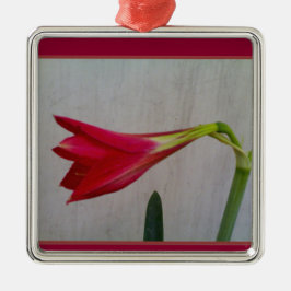 Adorno Metálico Collar