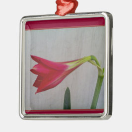 Adorno Metálico Collar