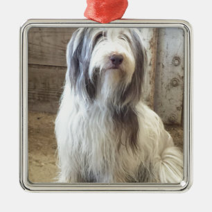 Adorno Metálico Collie con barba