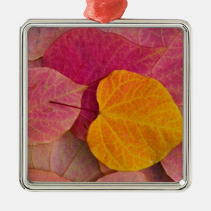 Adorno Metálico Color otoñal en hojas caídas de Forest Pansy Redbu