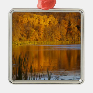 Adorno Metálico Colores de otoño en el Parque Estatal Maplewood c