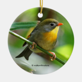 Adorno Metálico Colorida Leiothrix Pekin Robin Songbird