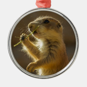 Adorno Metálico Comer perro de prairie bebé, Arizona