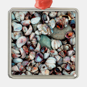 Adorno Metálico Conchas y piedras