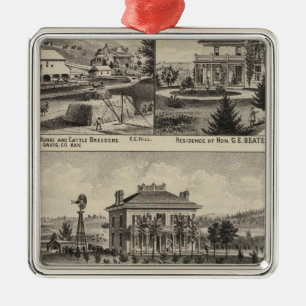 Adorno Metálico Condado de Davis, Kansas 2