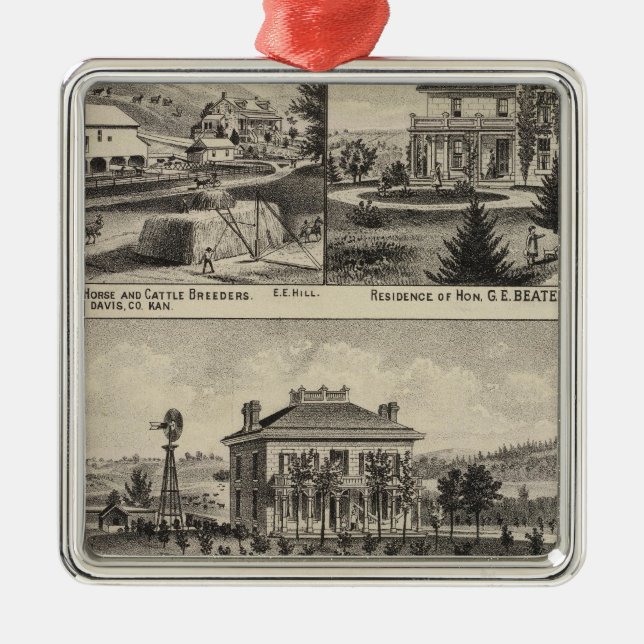 Adorno Metálico Condado de Davis, Kansas 2 (Frente)