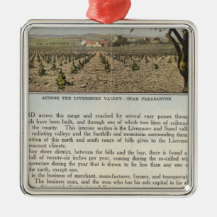 Adorno Metálico Condado de Verso Alameda