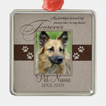Condolencia para siempre amada del mascota
