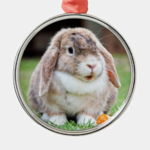 Adorno Metálico Conejo conejo conejo conejo conejo conejo cute Hol