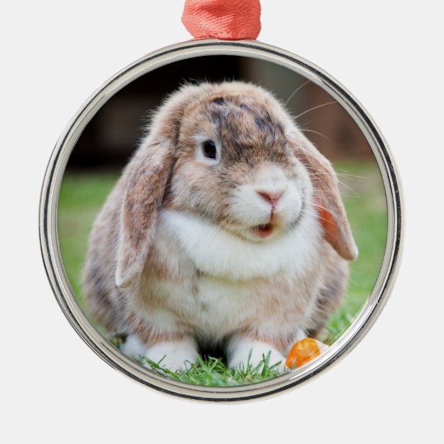 Adorno Metálico Conejo conejo conejo conejo conejo conejo cute Hol (Frente)