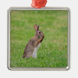 Adorno Metálico Conejo parado en el césped y con aspecto tímido