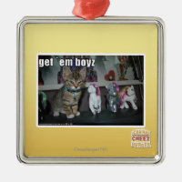Consiga el boyz del em