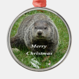 Adorno Metálico Consumición de Groundhog